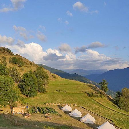 Отель Lodg'Ing Secret Camp Ariege Lordat Экстерьер фото